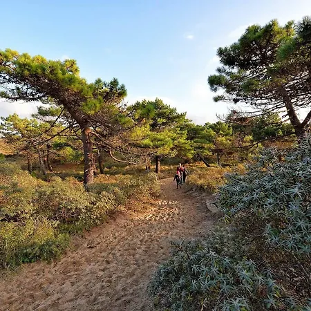 Des Argousiers Hotel Ambleteuse