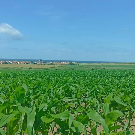 Отель Des Argousiers 3*