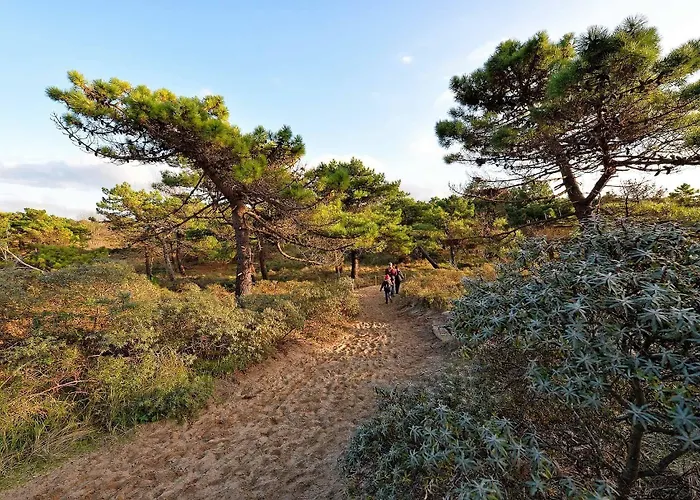 Des Argousiers Hotel Ambleteuse